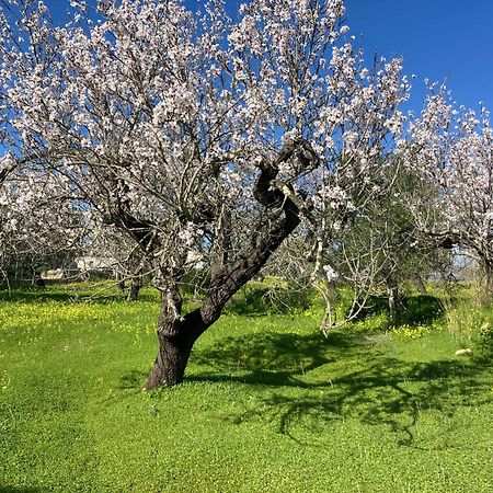Casa Tranquila Barrada Villa Alcoutim Kültér fotó