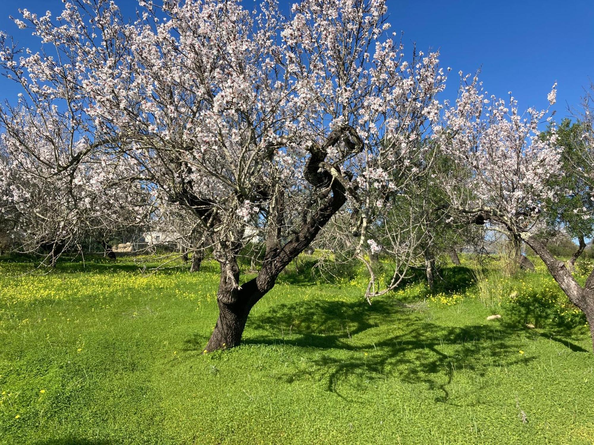 Casa Tranquila Barrada Villa Alcoutim Kültér fotó