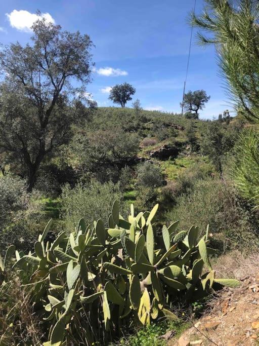 Casa Tranquila Barrada Villa Alcoutim Kültér fotó